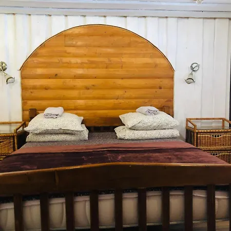 Apartamento у віти номер 5 Synevyrsʼka Polyana